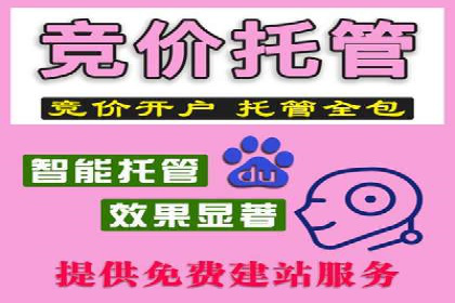 百度运营推广实战技巧，看这些成功案例
